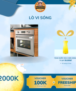 lò vi sóng âm tủ